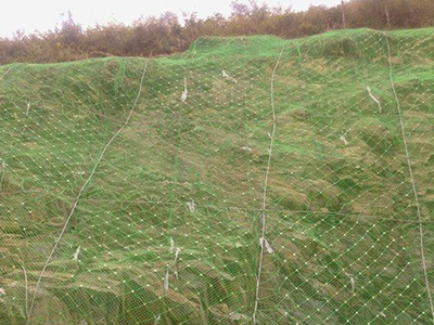 柔性边坡防护网 - 安平县万基筛网有限公司图片3