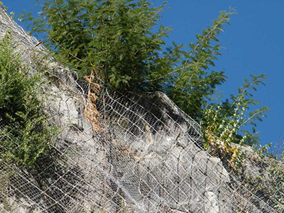 柔性边坡防护网 - 安平县万基筛网有限公司图片4