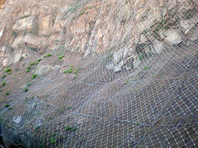 主动防护网案例 - 安平县万基筛网有限公司图片2