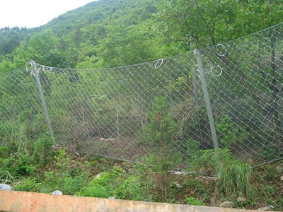 被动防护网案例 - 安平县万基筛网有限公司图片2